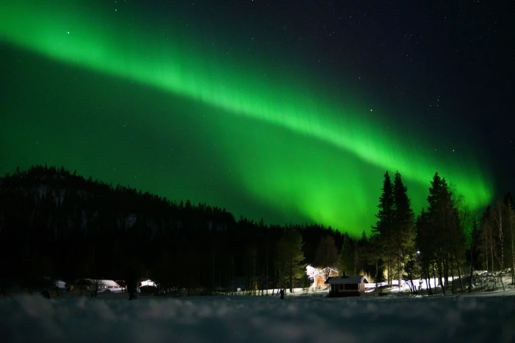 Northern Lights over a snowy forest in Lapland